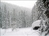 SWZ_Winter 2006 2 312